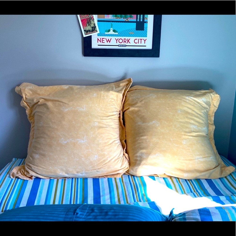 Two 28x28”pillow shams